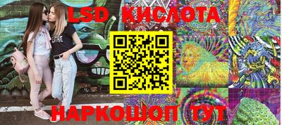 ПСИЛОЦИБИНОВЫЕ ГРИБЫ Кимры