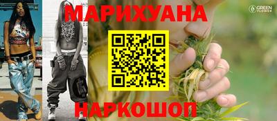 гашик Кинель