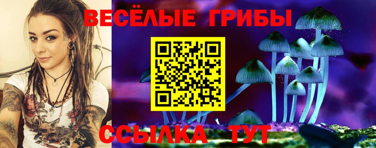 Дальнегорск  Галлюциногенные грибы ЛСД  цены   Вход с VPN 
